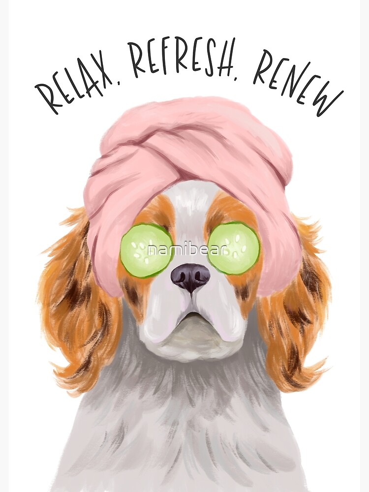 Relax Refresh Renew Spa Dog