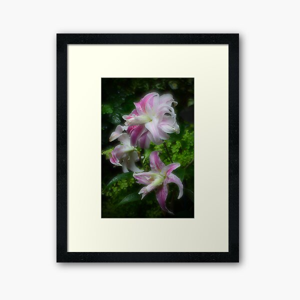 Item preview, Oriental Lilies designed and sold by Halobrianna.