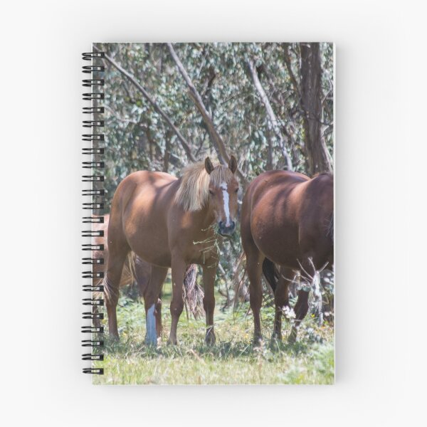 Item preview, Brumby Mares designed and sold by Laura Sykes.