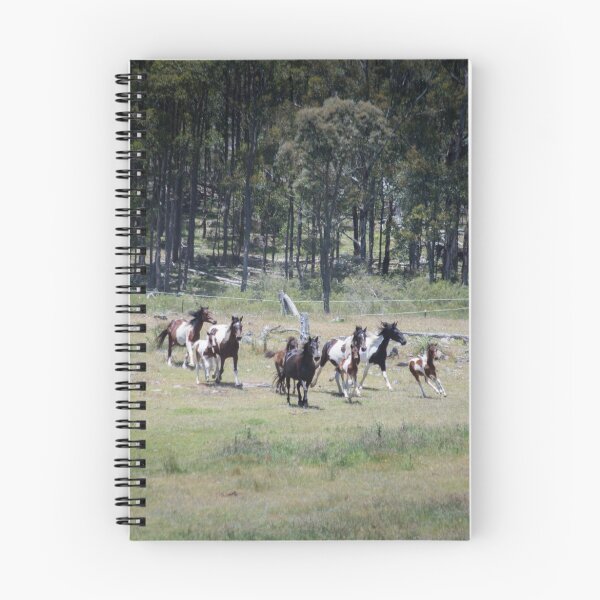 Item preview, Oxley Brumbies designed and sold by Laura Sykes.