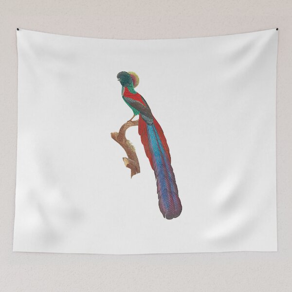 Item preview, Bird-of-paradise designed and sold by Photopicture.