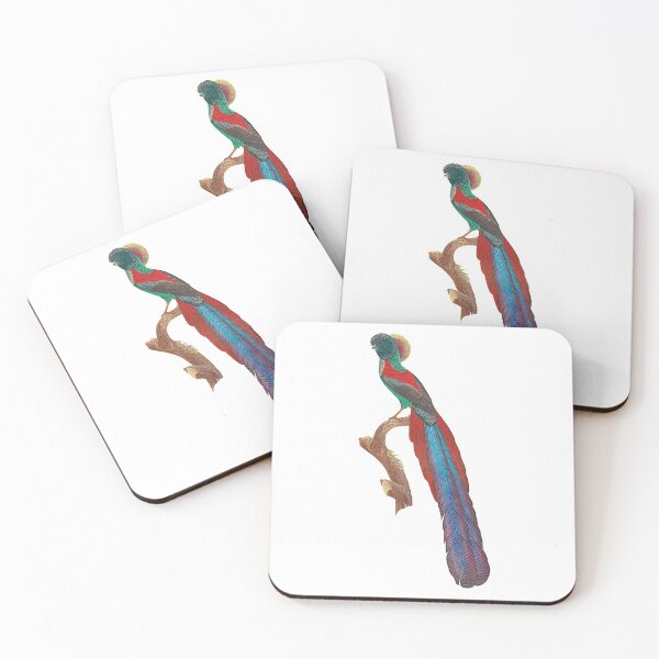 Item preview, Bird-of-paradise designed and sold by Photopicture.