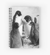 Adelie Penguin Family | Shackleton's Nimrod Expedition 1908 Spiral Notebook