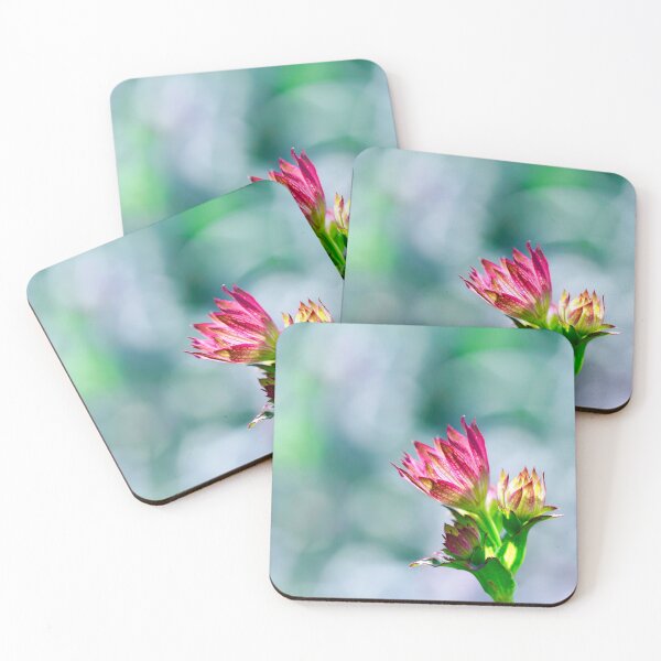 Item preview, Blooms and bokeh  designed and sold by Helen  Kelly.