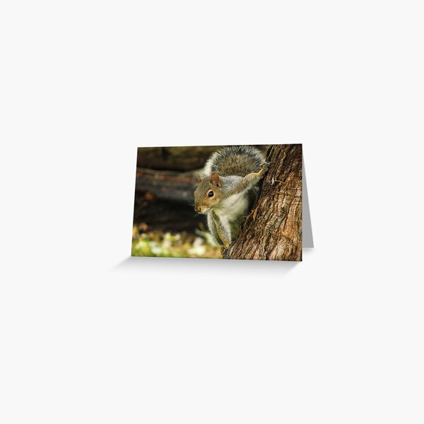 Defying Gravity Greeting Card