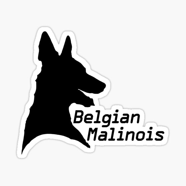 Belgian Malinois pride! Sticker