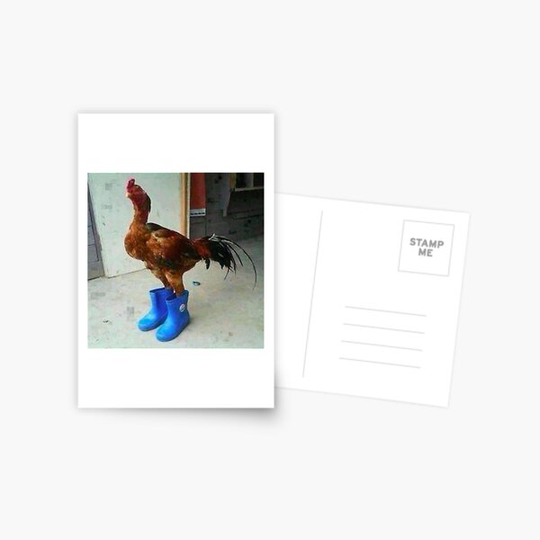he boot Postcard