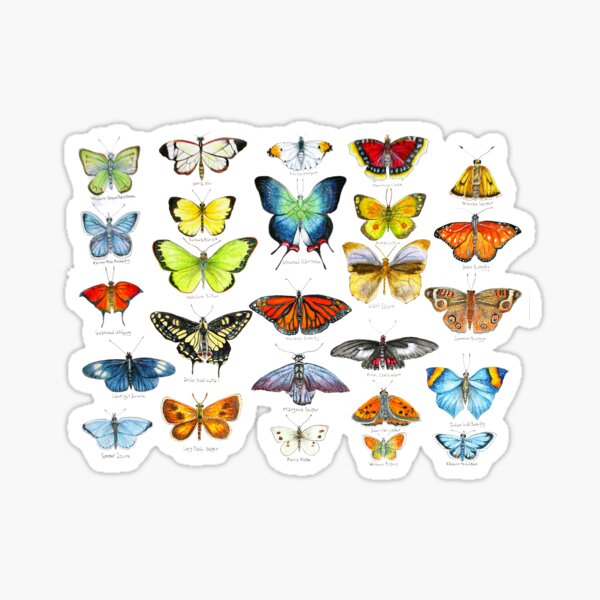 Butterflies 2: Return of the Butters Sticker