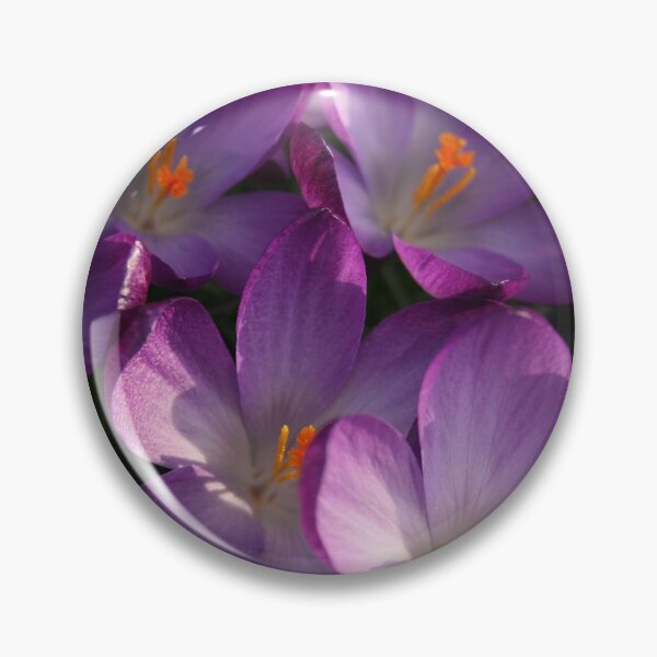 Item preview, Crocus designed and sold by jdphotos.