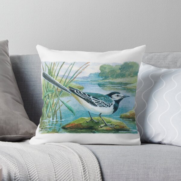 Bergeronnette grise Coussin