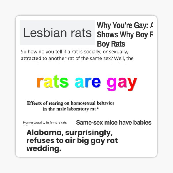Item preview, gay rats designed and sold by todaysbird.