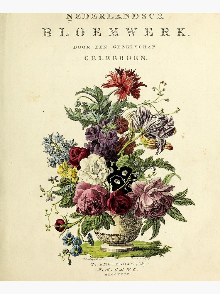 Nederlandsch bloemwerk (Dutch Flower Arrangements) from 1794 by douglasewelch