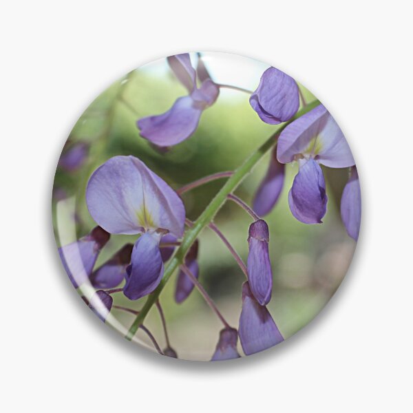 Item preview, Wisteria Blooming designed and sold by Martha Sherman.