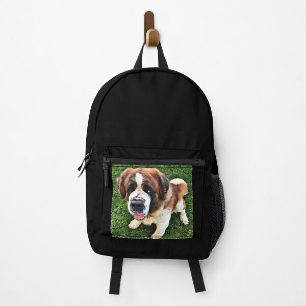 Item preview, Rough coat St. Bernard Barney designed and sold by stretchtees.