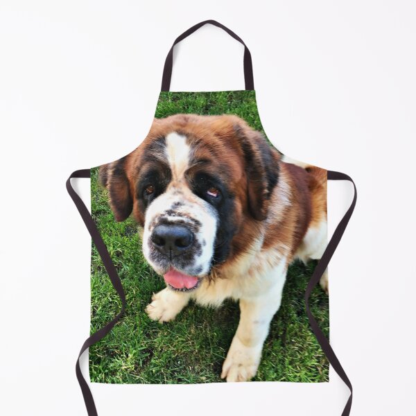 Item preview, Rough coat St. Bernard Barney designed and sold by stretchtees.