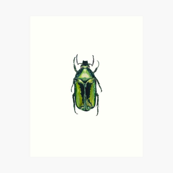 Item preview, Green Scarab Beetle: Agestrata semperi female designed and sold by Roxytee.