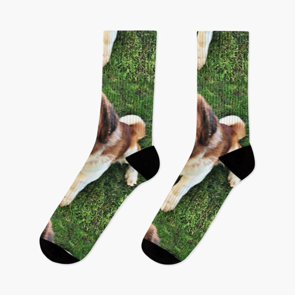 Item preview, Rough coat St. Bernard Barney designed and sold by stretchtees.