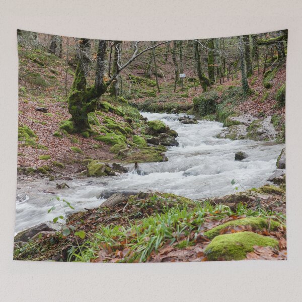 Aperçu de l'œuvre Wild Stream créée et vendue par joneagoitz.