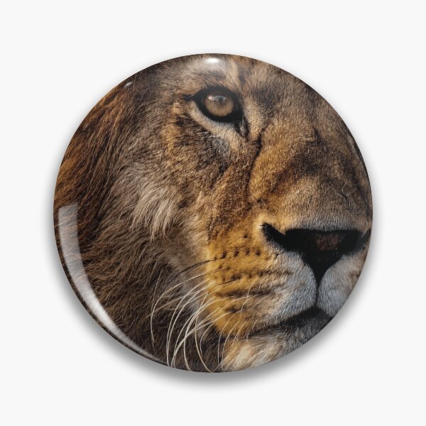 Item preview, African Wildlife - Lion designed and sold by Josephines-ZA.