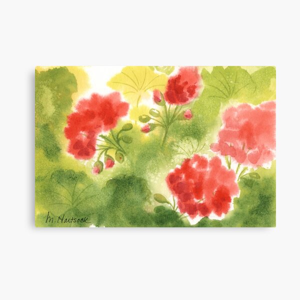 Geraniums 3 Canvas Print