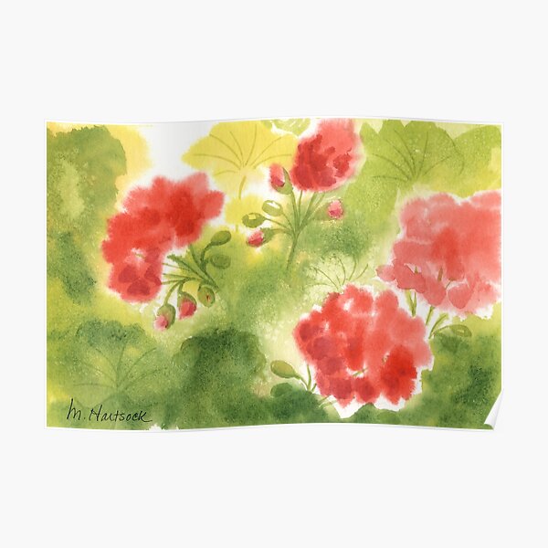 Geraniums 3 Poster