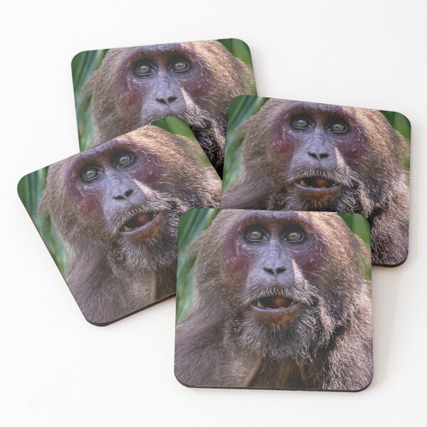 Item preview, Monkey designed and sold by Cheesy06.