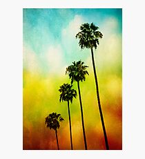 4 Palms Photographic Print