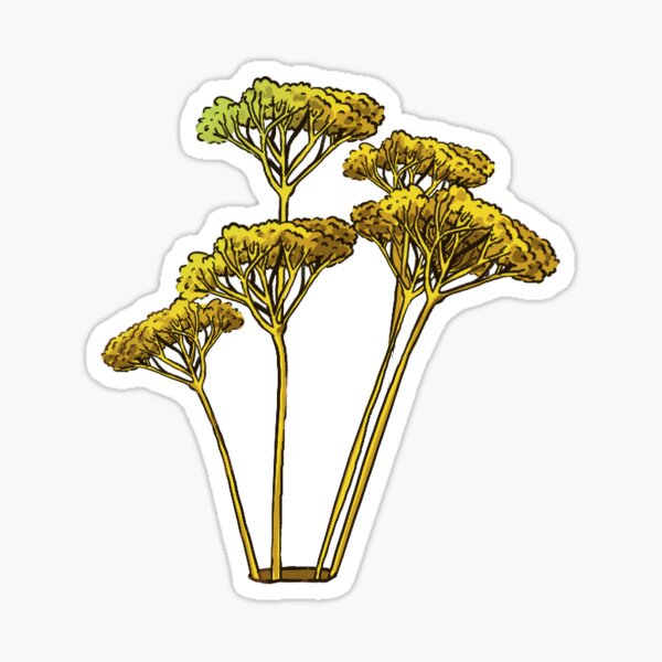 yellow broccoli looking flowers Sticker