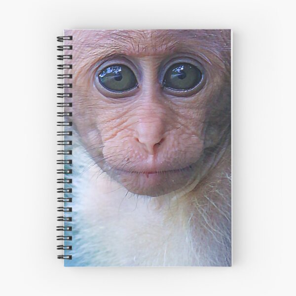 Item preview, Monkey 2 designed and sold by Cheesy06.