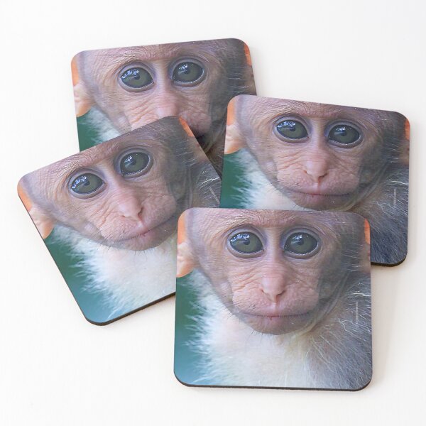 Item preview, Monkey 2 designed and sold by Cheesy06.