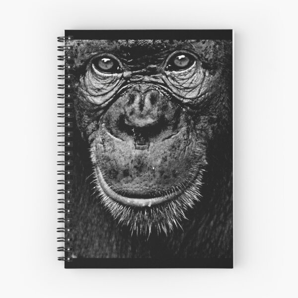 Item preview, Monkey 3 designed and sold by Cheesy06.