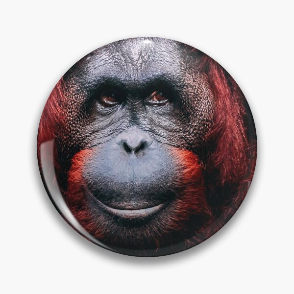 Item preview, Monkey 4 designed and sold by Cheesy06.