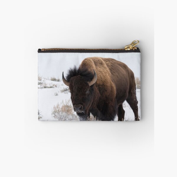 Aperçu de l'œuvre Bison créée et vendue par Will Hore-Lacy.