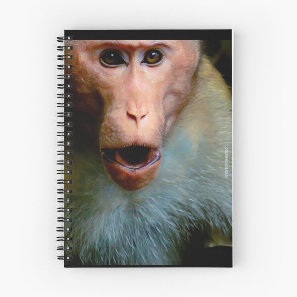Item preview, Monkey 5 designed and sold by Cheesy06.