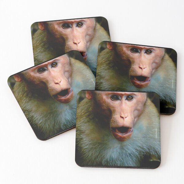 Item preview, Monkey 5 designed and sold by Cheesy06.