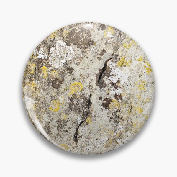 Item preview, Lichen on The Rollright Stones designed and sold by DanaAndTheBooks.
