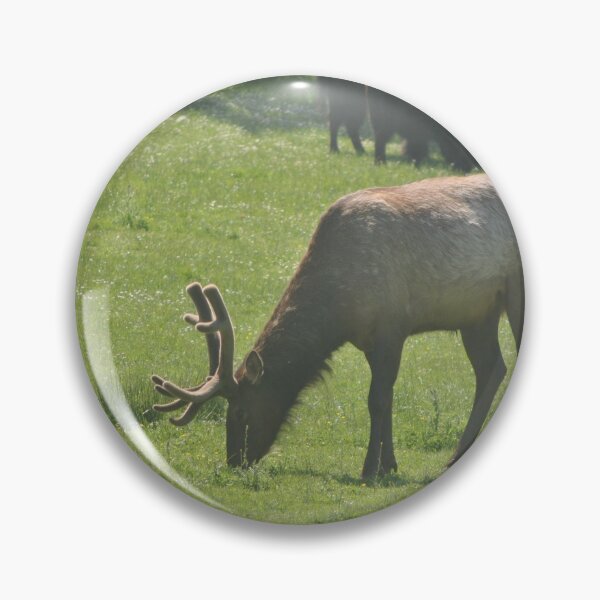 Item preview, American Elk with Bison designed and sold by Tamara McDonnell.