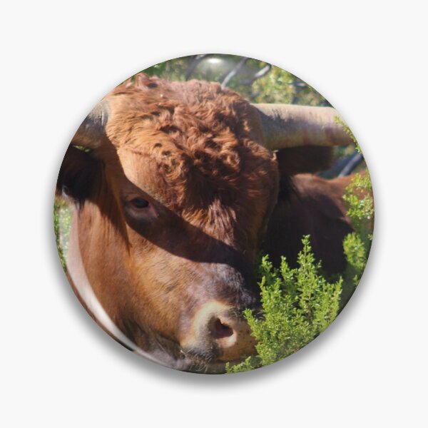 Item preview, Steer In Hiding designed and sold by Schummi.