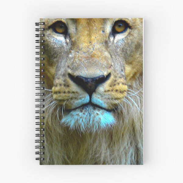 Item preview, Lion 2 designed and sold by Cheesy06.