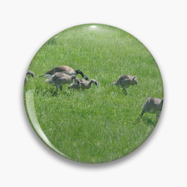Item preview, Family of Geese designed and sold by Tamara McDonnell.