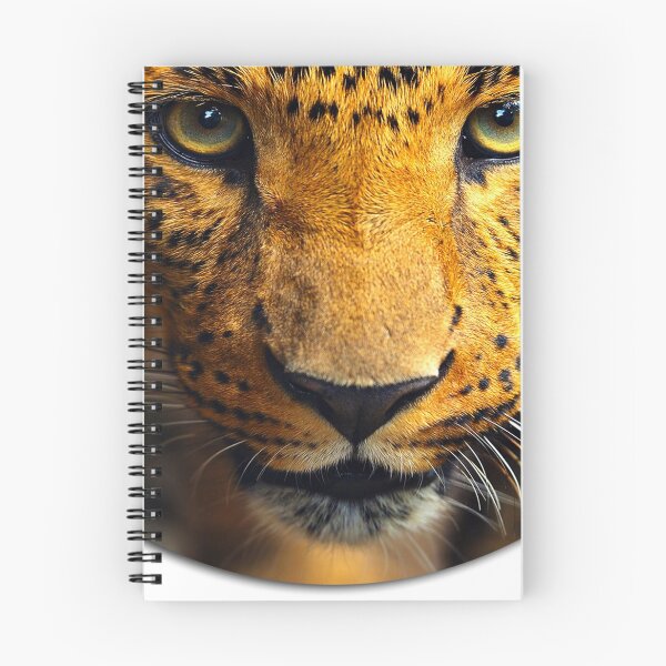 Item preview, Leopard 2 designed and sold by Cheesy06.
