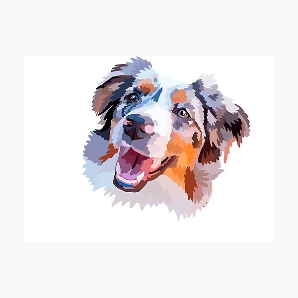 Australian Shepherd blue merle cute pet portrait dog person must have gifts  for aussie owner Canvas Print by PetFriendly