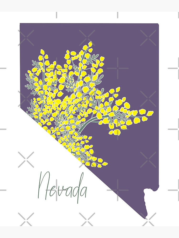 "Nevada State Flower Sage Brush floral silhouette " Photographic Print