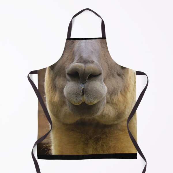 Item preview, Lama 2 designed and sold by Cheesy06.