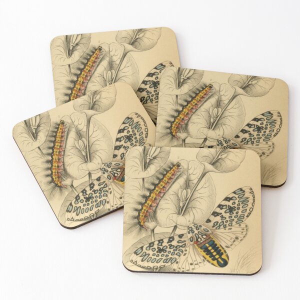 Item preview, Caterpillars and Butterflies designed and sold by BlueSpecsStudio.