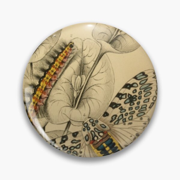 Item preview, Caterpillars and Butterflies designed and sold by BlueSpecsStudio.
