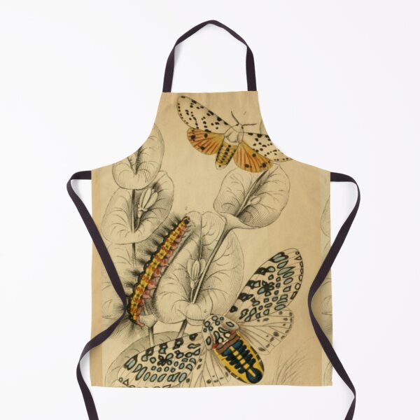 Item preview, Caterpillars and Butterflies designed and sold by BlueSpecsStudio.