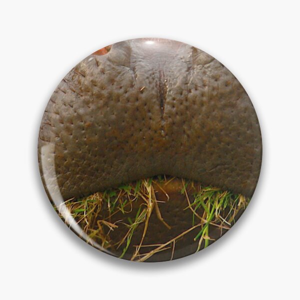 Item preview, Hippopotamus designed and sold by Cheesy06.