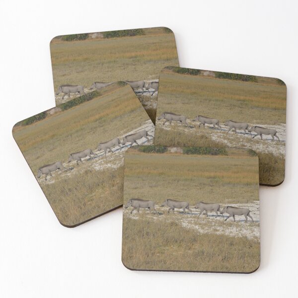 Item preview, A Warthog Parade, Kenya, Africa designed and sold by Tom Wurl.