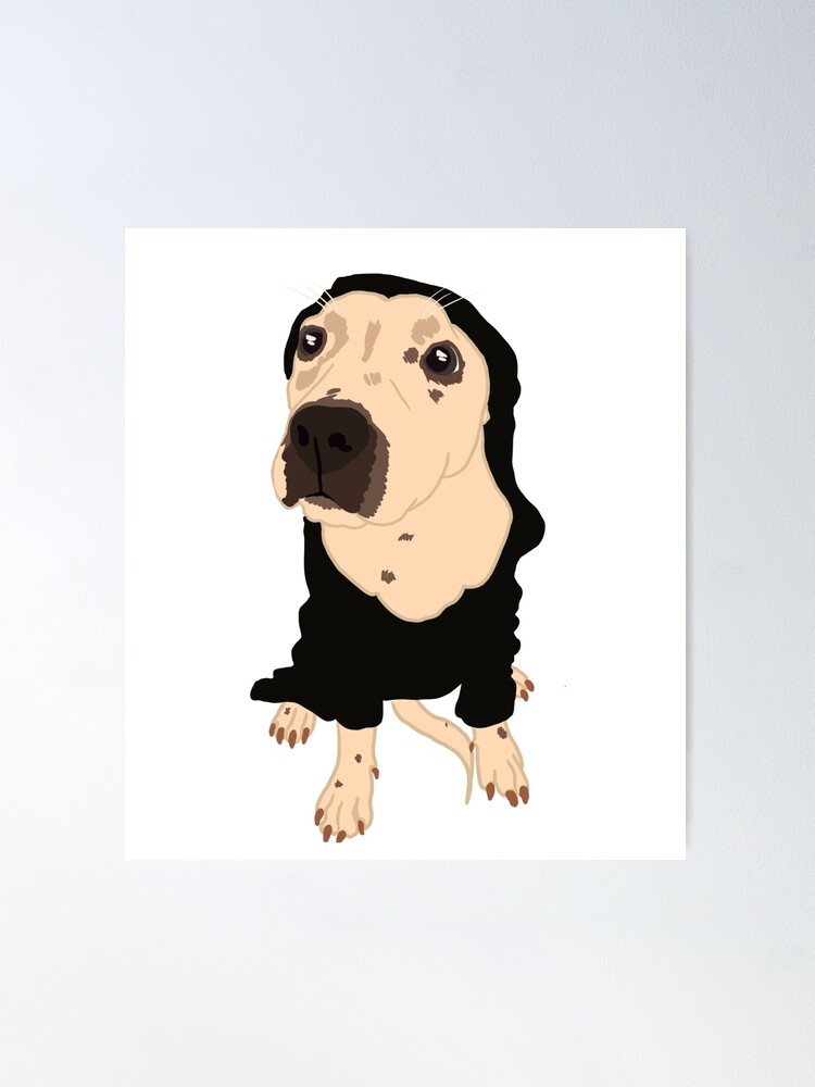 Shiva the dog Shiva the dog